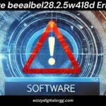 Software beealbel28.2.5w418d Error