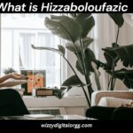 What is Hizzaboloufazic