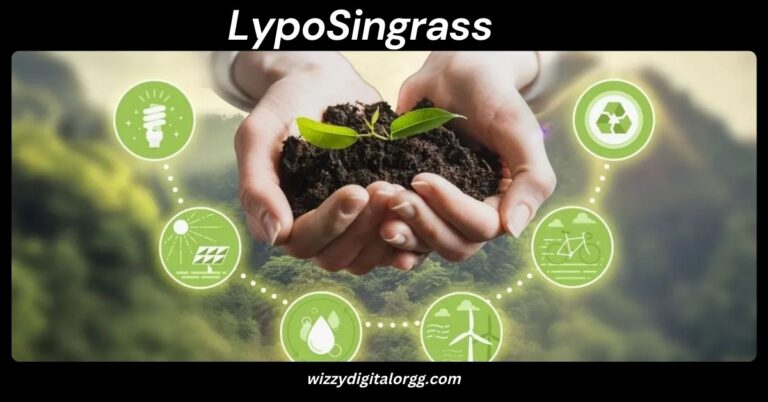 LypoSingrass