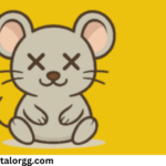 myanonamouse