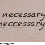 necessary or neccessary
